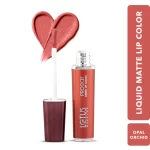 Proedit Liquid Matte Lip Color