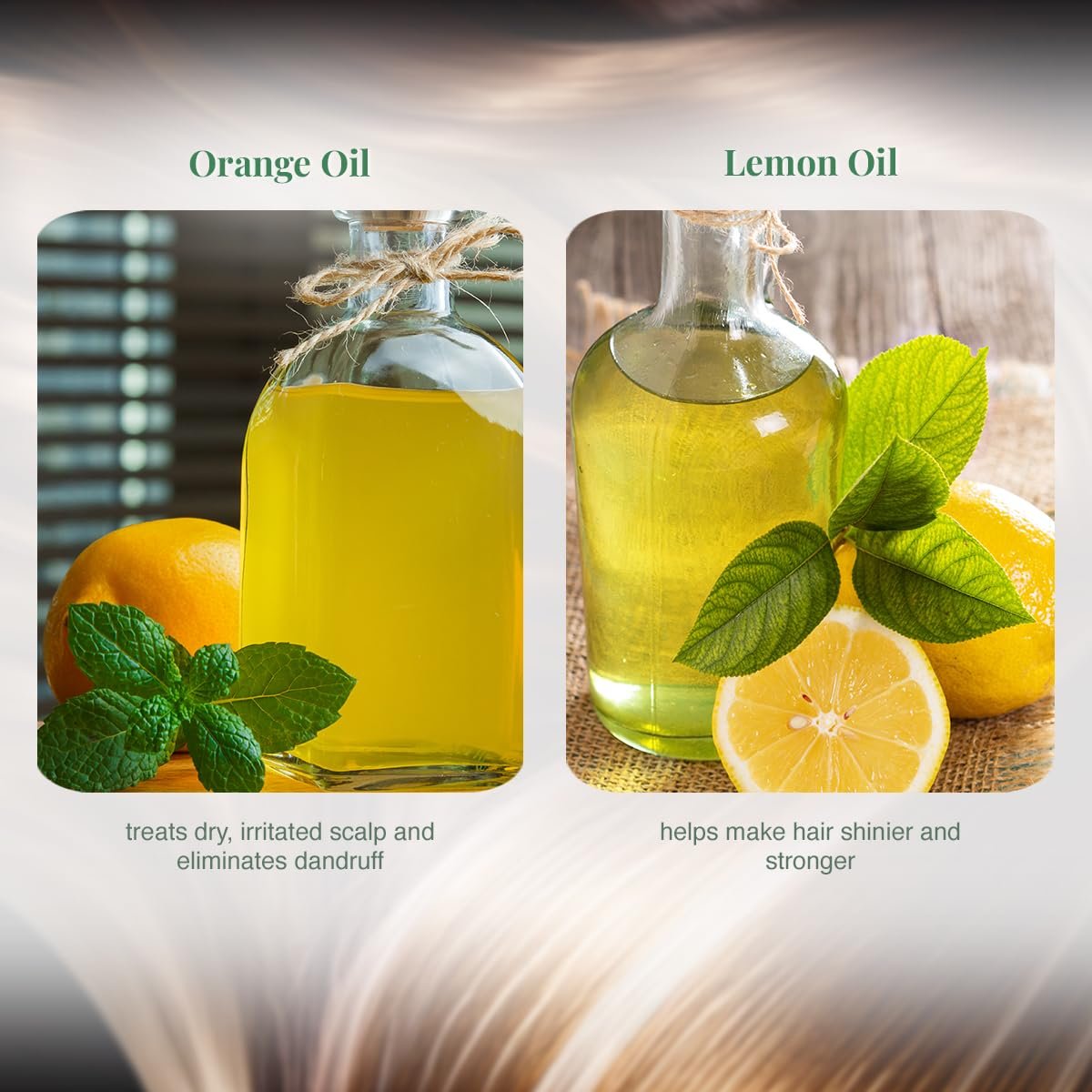 VLCC Dandruff Care & Control Shampoo - B1G1-350ml X 2 (700ml) | Anti-Dandruff Shampoo | Scalp Health, Deep Scalp Cleaning | With Orange & Lemon Oil. - Image 2