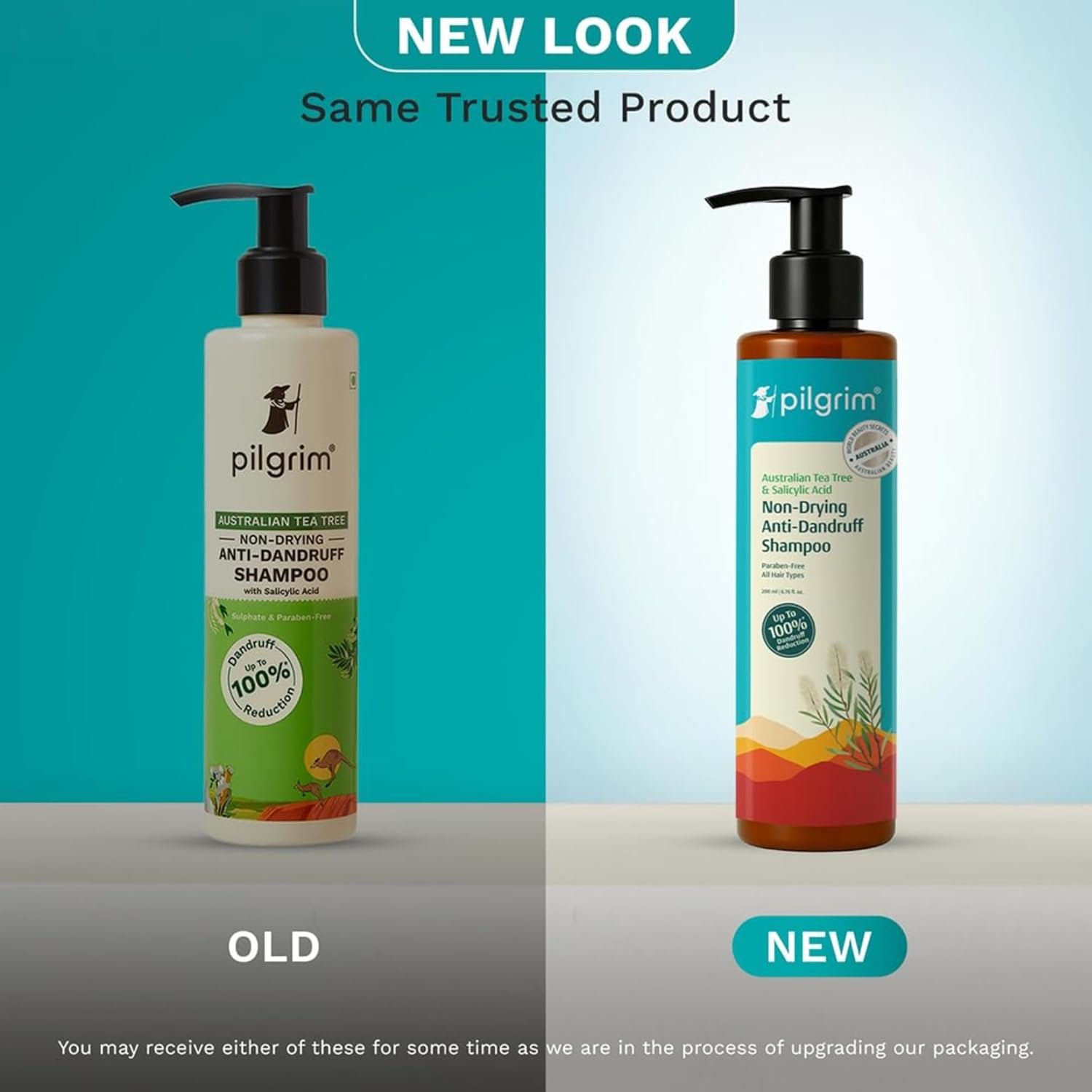 Pilgrim Australian Tea Tree Non-Drying Anti-Dandruff Shampoo 200 ml | Removes Dandruff from Source | Helps with Itching, Irritation | Strong & Smooth Hair | For Men & Women - Image 2