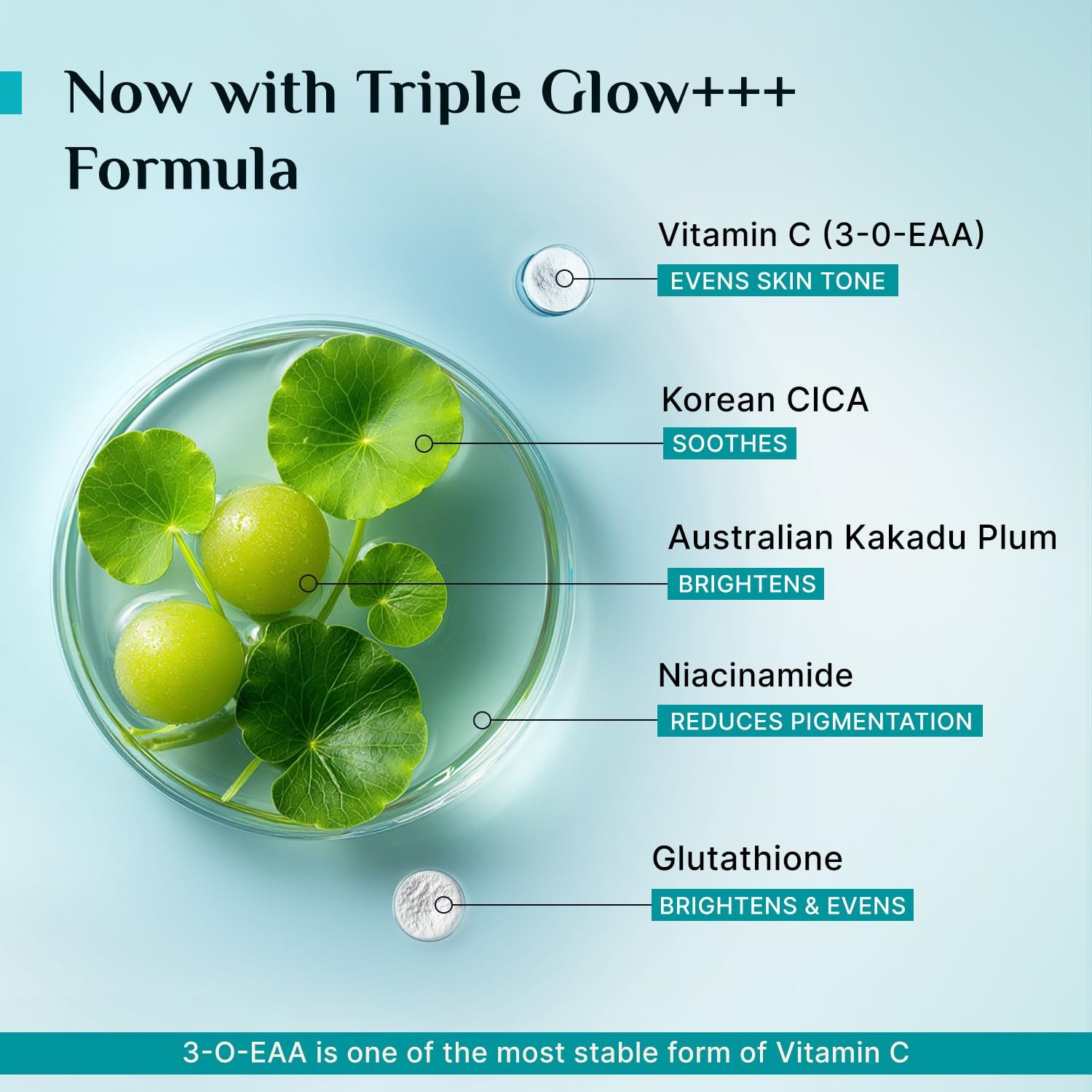 Pilgrim 10% Vitamin C Serum 30ml for Glowing Skin|With 5% Niacinamide, Hyaluronic & Glycolic Acid|Fades Dark Spots, Pigmentation|For All, Oily, Combination, Normal Skin |Beginner Friendly - Men, Women - Image 4